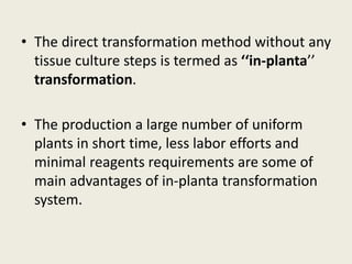 • The direct transformation method without any
tissue culture steps is termed as ‘‘in-planta’’
transformation.
• The production a large number of uniform
plants in short time, less labor efforts and
minimal reagents requirements are some of
main advantages of in-planta transformation
system.
 