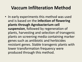 Vaccum Infilteration Method
• In early experiments this method was used
and is based on the infection of flowering
plants through Agrobacterium cell
suspension, followed by regeneration of
plants, harvesting and selection of transgenic
plants on screening media containing marker
genes such as antibiotic and herbicides
resistant genes. Stable transgenic plants with
lower transformation frequency were
produced through this method.
 