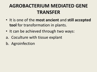 AGROBACTERIUM MEDIATED GENE
TRANSFER
• It is one of the most ancient and still accepted
tool for transformation in plants.
• It can be achieved through two ways:
a. Coculture with tissue explant
b. Agroinfection
 