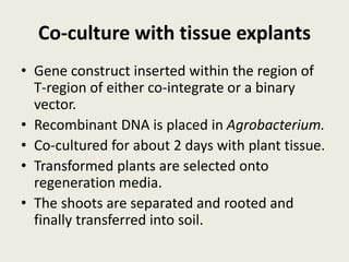 Co-culture with tissue explants
• Gene construct inserted within the region of
T-region of either co-integrate or a binary
vector.
• Recombinant DNA is placed in Agrobacterium.
• Co-cultured for about 2 days with plant tissue.
• Transformed plants are selected onto
regeneration media.
• The shoots are separated and rooted and
finally transferred into soil.
 