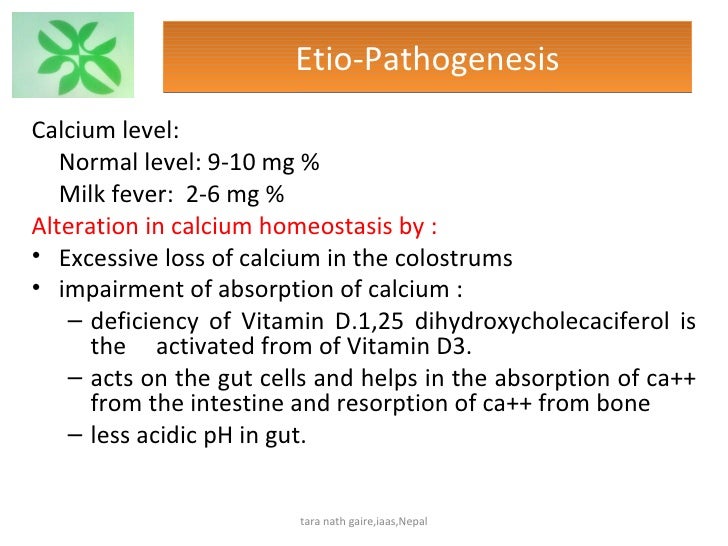 Recent diagnosis and treatment of milk fever in
