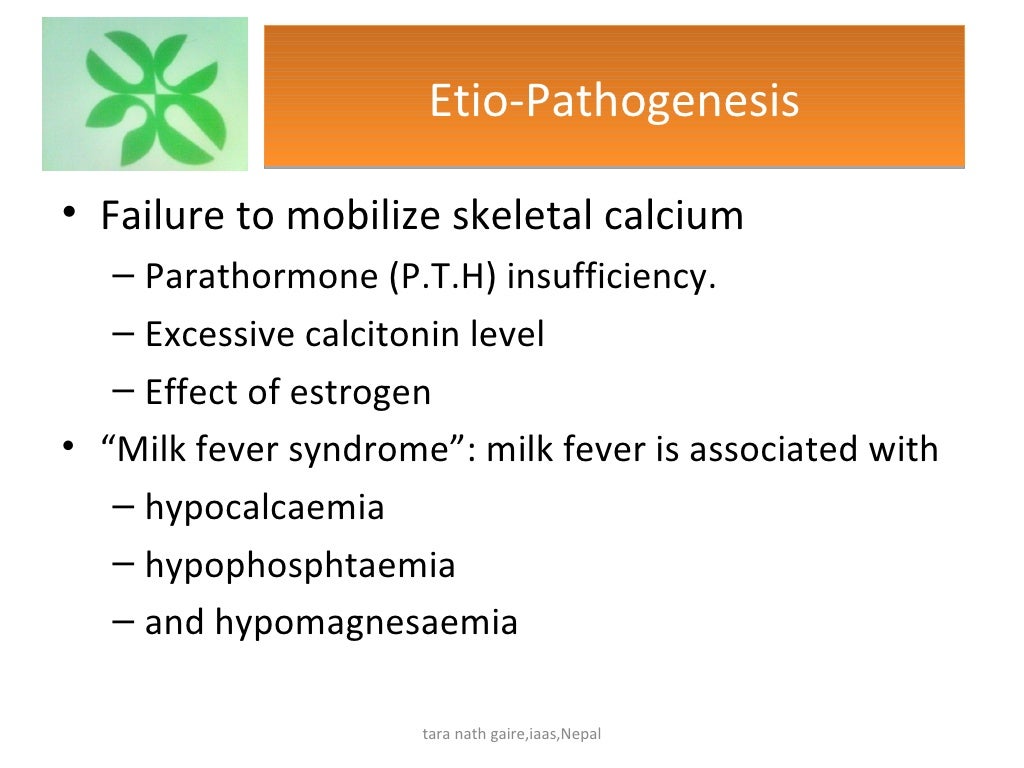 Recent diagnosis and treatment of milk fever in