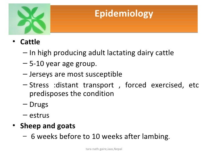 Recent diagnosis and treatment of milk fever in