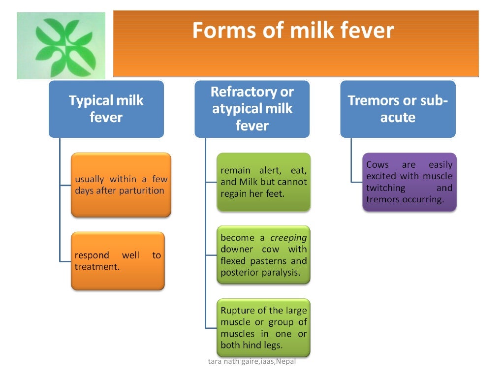 Recent diagnosis and treatment of milk fever in