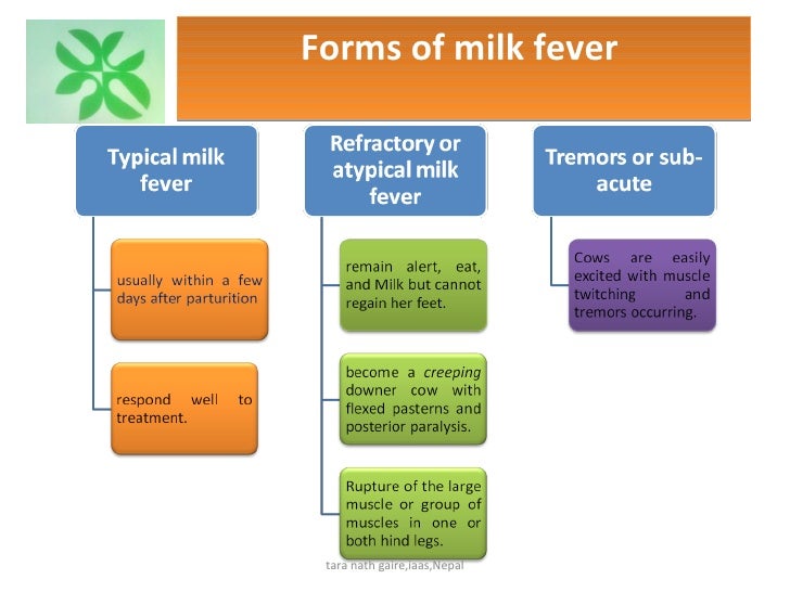 Recent diagnosis and treatment of milk fever in