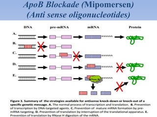 ApoB Blockade (Mipomersen) 
(Anti sense oligonucleotides) 
 