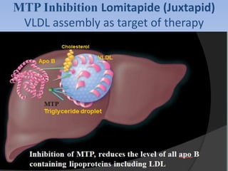 MTP Inhibition Lomitapide (Juxtapid) 
VLDL assembly as target of therapy 
 