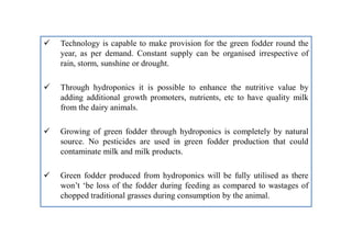 Through Fodder Recent enovations in fodder production...muneendra kumar | PDF