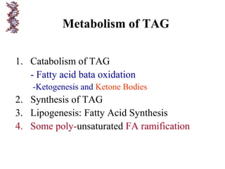 Metabolism of TAG
1. Catabolism of TAG
- Fatty acid bata oxidation
-Ketogenesis and Ketone Bodies
2. Synthesis of TAG
3. Lipogenesis: Fatty Acid Synthesis
4. Some poly-unsaturated FA ramification
 