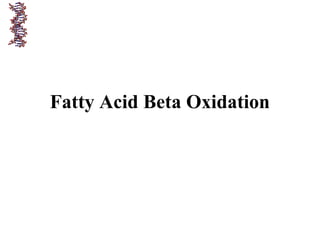 Fatty Acid Beta Oxidation
 