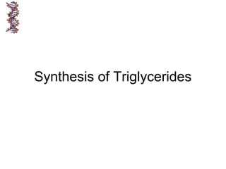 Synthesis of Triglycerides
 