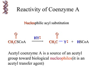 Reactivity of Coenzyme A
NucleoNucleophilic acyl substitutionphilic acyl substitution
CHCH33CCSCoASCoA
OO
HYHY••
••
CHCH33CC
OO
YY ••
•• ++ HHSCoASCoA
Acetyl coenzyme A is a source of an acetyl
group toward biological nucleophiles(it is an
acetyl transfer agent)
 
