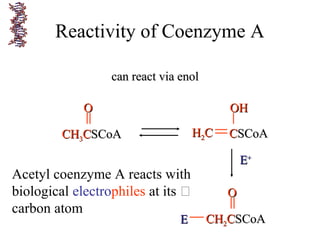 Reactivity of Coenzyme A
can react via enolcan react via enol
CHCH33CCSCoASCoA
OO
Acetyl coenzyme A reacts with
biological electrophiles at its 
carbon atom
CCSCoASCoA
OHOH
HH22CC
EE++
CHCH22CCSCoASCoA
OO
EE
 
