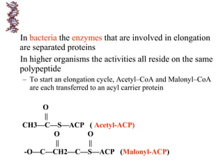 In bacteria the enzymes that are involved in elongation
are separated proteins
In higher organisms the activities all reside on the same
polypeptide
– To start an elongation cycle, Acetyl–CoA and Malonyl–CoA
are each transferred to an acyl carrier protein
O
||
CH3—C—S—ACP ( Acetyl-ACP)
O O
|| ||
-O—C—CH2—C—S—ACP (Malonyl-ACP)
 