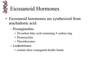 • Eicosanoid horomones are synthesized from
arachadonic acid
– Prostaglandins
• 20-carbon fatty acid containing 5-carbon ring
• Prostacyclins
• Thromboxanes
– Leukotrienes
• contain three conjugated double bonds
Eicosanoid Hormones
 