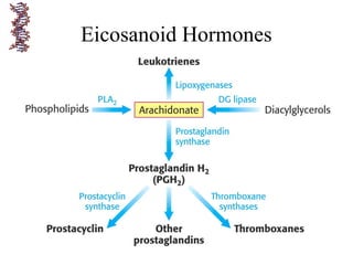 Eicosanoid Hormones
 