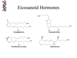 Eicosanoid Hormones
 