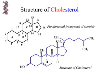 Structure of Cholesterol
HOHO
CHCH33
HH
HH
HH
CHCH33
CHCH33 CHCH33
CHCH33
Fundamental framework of steroidsFundamental framework of steroids
Structure of CholesterolStructure of Cholesterol
A B
C D
1
2
3
4
5
6
7
8
9
10
11
12
13
14 15
16
17
18
19
 