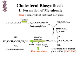 Cholesterol Biosynthesis
1. Formation of Mevalonate
2 CH3COSCoA CH3COCH2COSCoA
Thiolase
CH3COSCoA
Acetoacetyl CoA
HO2C-CH2-C-CH2COSCoA
OH
CH3
-Hydroxy-bata-methyl-
glutaryl CoA (HMG CoA)
HMG CoA
Synthase
HO2C-CH2-C-CH2CH2OH
OH
CH3
3R-Mevalonic acid
HMGCoA
reductase
CoASH NADP+
NADPH
+ H+
Key control step
Liver is primary site of cholesterol biosynthesis
 