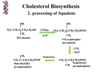 Cholesterol Biosynthesis
2. processing of Squalene
-
O2C-CH2-C-CH2CH2OH
OH
CH3
Mevalonate
-
O2C-CH2-C-CH2CH2OPOP
CH3
OH
2 Steps
ATP
5-Pyrophospho-
mevalonate
CH2=C-CH2CH2OPOP
CH3
- CO2
- H2O
Isopentenyl
pyrophosphate
CH3-C=CH2CH2OPOP
CH3
Dimethylallyl
pyrophosphate
Isomerase
 