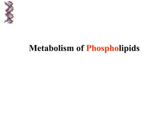Metabolism of Phospholipids
 