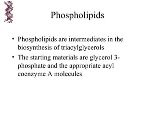 Phospholipids
• Phospholipids are intermediates in the
biosynthesis of triacylglycerols
• The starting materials are glycerol 3-
phosphate and the appropriate acyl
coenzyme A molecules
 