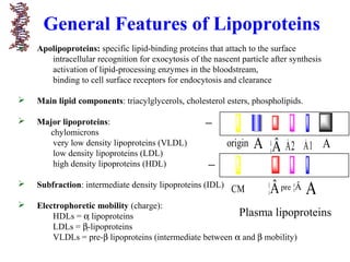 General Features of Lipoproteins
 Apolipoproteins: specific lipid-binding proteins that attach to the surface
intracellular recognition for exocytosis of the nascent particle after synthesis
activation of lipid-processing enzymes in the bloodstream,
binding to cell surface receptors for endocytosis and clearance
 Main lipid components: triacylglycerols, cholesterol esters, phospholipids.
 Major lipoproteins:
chylomicrons
very low density lipoproteins (VLDL)
low density lipoproteins (LDL)
high density lipoproteins (HDL)
 Subfraction: intermediate density lipoproteins (IDL)
 Electrophoretic mobility (charge):
HDLs = α lipoproteins
LDLs = β-lipoproteins
VLDLs = pre-β lipoproteins (intermediate between α and β mobility)
_
_
origin ¦Ã ¦Â ¦Á2 ¦Á1 A
CM pre ¦Â ¦Á¦Â
Plasma lipoproteins
 