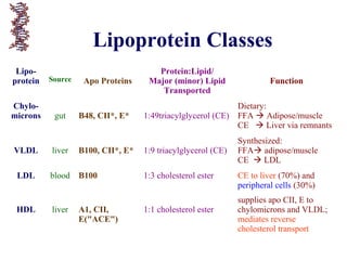 Lipoprotein Classes
Lipo-
protein Source Apo Proteins
Protein:Lipid/
Major (minor) Lipid
Transported
Function
Chylo-
microns gut B48, CII*, E* 1:49triacylglycerol (CE)
Dietary:
FFA  Adipose/muscle
CE  Liver via remnants
VLDL liver B100, CII*, E* 1:9 triacylglycerol (CE)
Synthesized:
FFA adipose/muscle
CE  LDL
LDL blood B100 1:3 cholesterol ester CE to liver (70%) and
peripheral cells (30%)
HDL liver A1, CII,
E("ACE")
1:1 cholesterol ester
supplies apo CII, E to
chylomicrons and VLDL;
mediates reverse
cholesterol transport
 