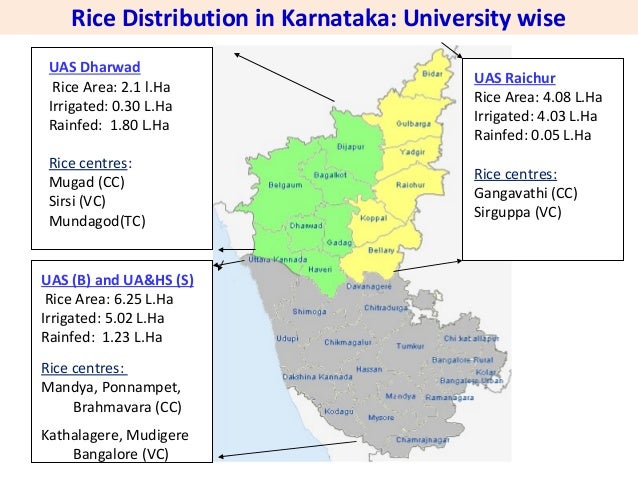 Recent rice varieties and hybrids of karnataka by m.p.rajanna 22.6.20…