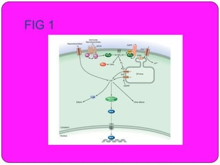 Recent role of calcium in cell signaling | PPTX