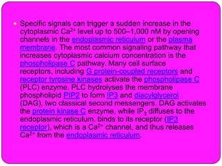Recent role of calcium in cell signaling | PPTX