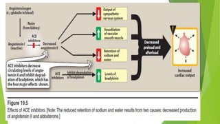 Currently used as First line agents in symptomatic and
asymptomatic
Used as Combination with diuretics to make first line therapy in
HF
Slow : progress of ventricular dilatation
Prolong survival : prevent pathological remodelling : heart &
blood vessels
 
