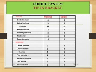 MAXILLARY ANDREWS SONDHI
Central incisors 5 5
Lateral incisors 9 8
Canines 11 10
First premolars 2 0
Second premolars 2 0
First molars 5 0
Second molars 5 0
MANDIBULAR
Central incisors 2 0
Lateral incisors 2 0
Canines 5 6
First premolars 2 0
Second premolars 2 0
First molars 2 0
Second molars 2 6
5-Jun-1664
SONDHI SYSTEM
TIP IN BRACKET.
 