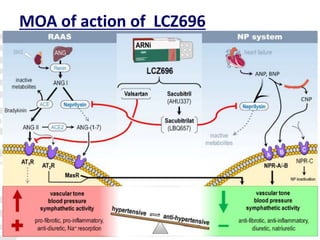 MOA of action of LCZ696
 