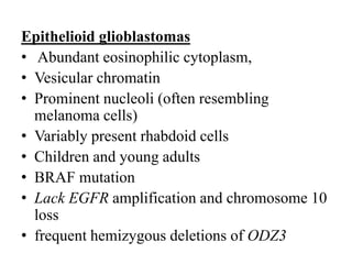 Epithelioid glioblastomas
• Abundant eosinophilic cytoplasm,
• Vesicular chromatin
• Prominent nucleoli (often resembling
melanoma cells)
• Variably present rhabdoid cells
• Children and young adults
• BRAF mutation
• Lack EGFR amplification and chromosome 10
loss
• frequent hemizygous deletions of ODZ3
 