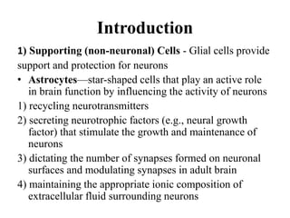 Introduction
1) Supporting (non-neuronal) Cells - Glial cells provide
support and protection for neurons
• Astrocytes—star-shaped cells that play an active role
in brain function by influencing the activity of neurons
1) recycling neurotransmitters
2) secreting neurotrophic factors (e.g., neural growth
factor) that stimulate the growth and maintenance of
neurons
3) dictating the number of synapses formed on neuronal
surfaces and modulating synapses in adult brain
4) maintaining the appropriate ionic composition of
extracellular fluid surrounding neurons
 