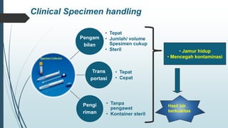 Recent Updates on Clinical Specimens Handling in Mycology.pdf