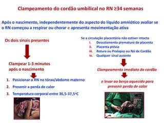 Após o nascimento, independentemente do aspecto do líquido amniótico avaliar se
o RN começou a respirar ou chorar e apresenta movimentação ativa
Os dois sinais presentes
Clampear 1-3 minutos
após o nascimento
1. Posicionar o RN no tórax/abdome materno
2. Prevenir a perda de calor
3. Temperatura corporal entre 36,5-37,5oC
Clampeamento do cordão umbilical no RN ≥34 semanas
Se a circulação placentária não estiver intacta
i. Descolamento prematuro de placenta
ii. Placenta prévia
iii. Rotura ou Prolapso ou Nó de Cordão
iv. Qualquer sinal ausente
Clampeamento imediato do cordão
e levar ao berço aquecido para
prevenir perda de calor
 