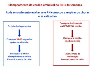 Clampeamento do cordão umbilical no RN < 34 semanas
Após o nascimento avaliar se o RN começou a respirar ou chorar
e se está ativo
Os dois sinais presentes
Clampear 30-60 segundos
após o nascimento
Posicionar o RN no
tórax/abdome materno
Prevenir a perda de calor
Qualquer sinal ausente
ou DPP/PP/Nó cordão
Clampear o cordão
imediatamente
Levar à mesa de
reanimação
Prevenir perda de calor
 