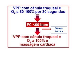 Técnica
Correta
 