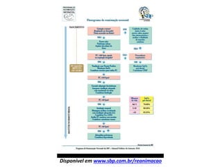 Disponível em www.sbp.com.br/reanimacao
 