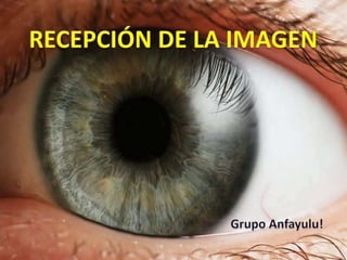 RECEPCIÓN DE LA IMAGEN Grupo Anfayulu! 