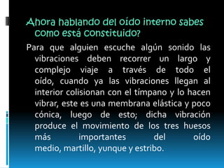 Ahora hablando del oído interno sabes como está constituido?Para que alguien escuche algún sonido las vibraciones deben recorrer un largo y complejo viaje a través de todo el oído, cuando ya las vibraciones llegan al interior colisionan con el tímpano y lo hacen vibrar, este es una membrana elástica y poco cónica, luego de esto; dicha vibración produce el movimiento de los tres huesos más importantes del oído medio, martillo, yunque y estribo.