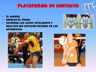 • El agarre.
• Ahuecar el pecho.
• Extender los codos totalmente y
realizar una rotación externa de los
antebrazos.
PLATAFORMA DE CONTACTO
 