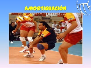AMORTIGUACIÓN
 
