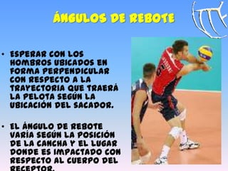 ÁNGULOS DE REBOTE
• Esperar con los
hombros ubicados en
forma perpendicular
con respecto a la
trayectoria que traerá
la pelota según la
ubicación del sacador.
• El ángulo de rebote
varía según la posición
de la cancha y el lugar
donde es impactado con
respecto al cuerpo del
 