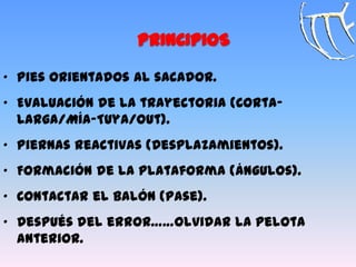 „ Pies orientados al sacador.
„ Evaluación de la trayectoria (Corta-
Larga/Mía-Tuya/Out).
„ Piernas reactivas (Desplazamientos).
„ Formación de la plataforma (Ángulos).
„ Contactar el balón (Pase).
„ Después del error……Olvidar la pelota
anterior.
PRINCIPIOS
 