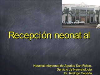 Recepción neonat al


     Hospital Interzonal de Agudos San Felipe.
                      Servicio de Neonatología
                           Dr. Rodrigo Cepeda
 
