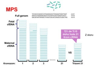 MPS
Fetal
cfDNA
Maternal
cfDNA
Kromozom: 1 2 3
……
21 Trizomi 21
VS
Full genom
T21 de %10
daha fazla 21
Krom cfDNA
GGCCCTGGGGACAGTCTCCAATCCACTGAGTCATCT chr10
GACACGGTGGAGCTCGGCCACACCAGGCCCAGCTGG chr14
TCCGCCCAGGCCATGAGGGACCTGGAAATGGCTGAT chr21
Z skoru
 