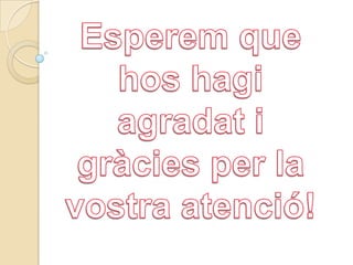 Esperem que hoshagiagradat i gràcies per la vostraatenció!Carla Hidalgo i Raquel Ruiz